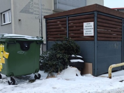 Co zrobić z choinką po świętach? W Częstochowie trwa akcja odbioru drzewek