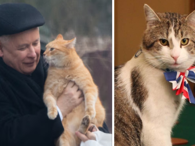 Jeden stroni od kamer, drugi jest medialną gwiazdą. Co jeszcze różni KOTA prezesa i Larrego?!