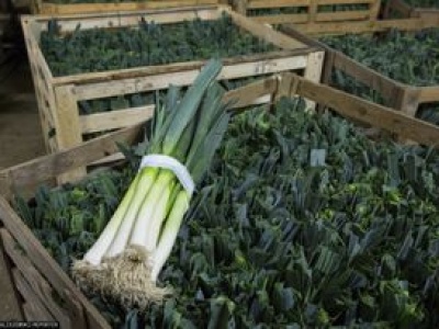 Wysłali pora do Polski, zarobili ponad 36 mln zł. Skąd pochodzi?