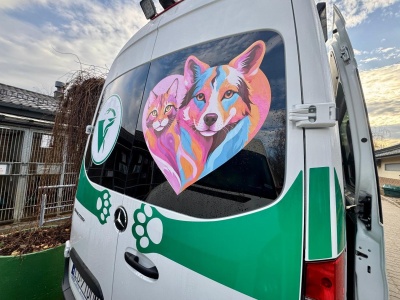 Schronisko na Paluchu uruchamia pierwszą w Polsce karetkę weterynaryjną