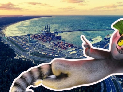 PiS i Ostrołęka na wodzie. Port Haller to kolejna wizja na miarę króla Juliana