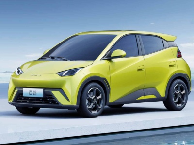 Mocne uderzenie w chińskie samochody w Polsce. Wojsko wprowadza zakaz wjazdu, wkrótce kolejne instytucje?