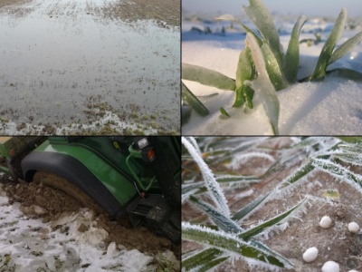 Azot w lutym? Wiele wskazuje na to, że ani warunki, ani przepisy na to nie pozwolą