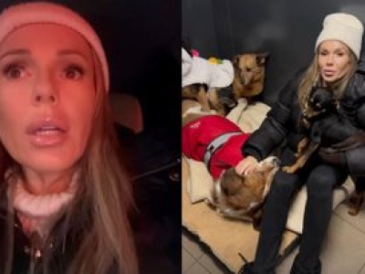 Doda spotkała się z kierowniczką schroniska w Bytomiu. Padły MOCNE SŁOWA