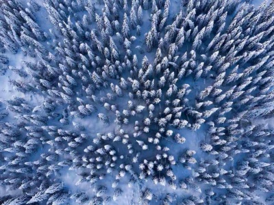 Narty biegowe. Zimą to lepszy wybór niż bieganie po asfalcie