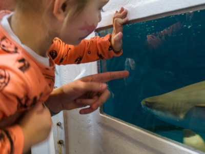 Ferie w Gdyni pełne atrakcji. Miasto stawia na naukę, zabawę i aktywność
