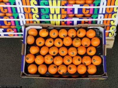 Ceny owoców na początku roku. Oto ile kosztują w hurcie