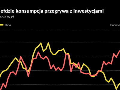 Konsument nie grzeje inwestorów u progu 2026 roku