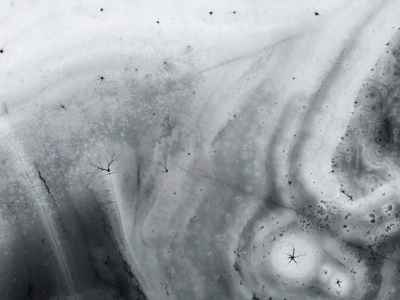 Wskazują na niespotykane od lat zjawisko. 