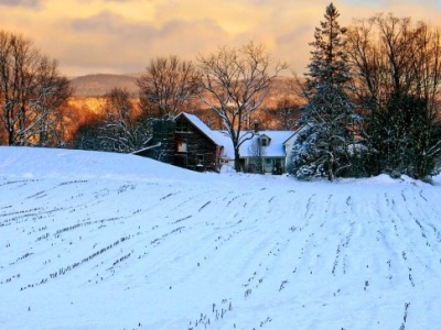 „Bestia ze wschodu” nad Polską? Najpierw podział kraju, potem możliwy mocny mróz