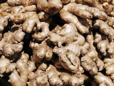 To może być nasze nowe złoto. Sadzą go już w Polsce zamiast ziemniaków