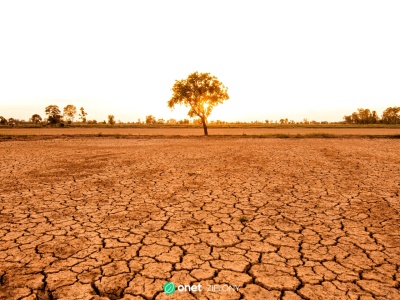 Rok 2025 trzecim najgorętszym w historii. Naukowcy alarmują: porozumienie paryskie jest martwe