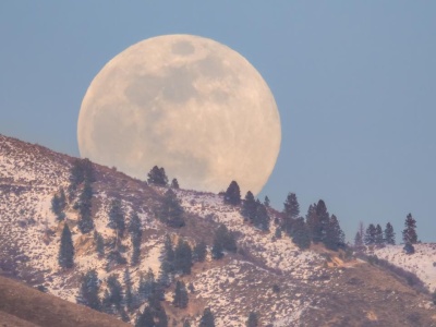 Dwa znaki zodiaku czeka romantyczny miesiąc, dwa kolejne doświadczą rewolucyjnych zmian. Oto horoskop tarotowy na luty 2026