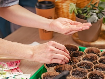 Te piękne kwiaty wysiewam już w styczniu. Mam najpiękniejszy ogród w okolicy