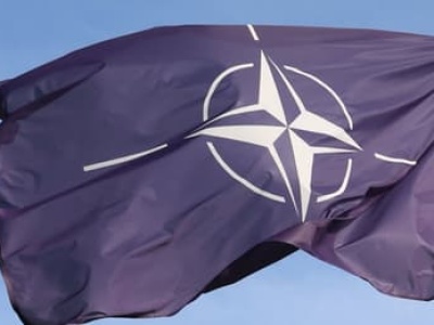 8 państw NATO solidarnie z Danią i Grenlandią. Oświadczenie po groźbach Trumpa