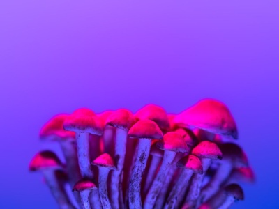 Alimenty a świadczenie z funduszu alimentacyjnego. Kto płaci, jakie są limity i różnice