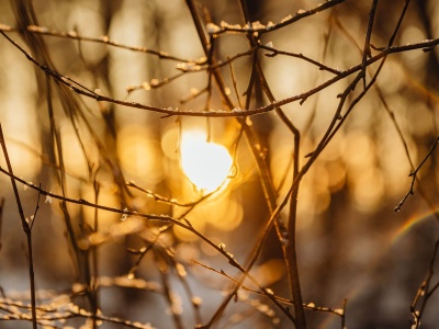 Nadchodzące dni będą zimne i słoneczne. Synoptycy mówią o minus 25 stopniach