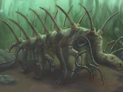 Poznaliśmy dietę jednego z najdziwniejszych zwierząt świata. Trochę ciarki