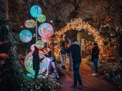 Ostatnie tygodnie wystawy Magiczny Botaniczny. Czas na wizytę w ogrodzie świateł