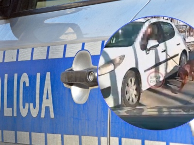 Pies na smyczy, kierowca w jadącym aucie. Szokujące nagranie spod Warszawy