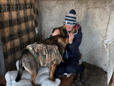 Zbiórka na przytulisko w Dźwierzutach. Dzięki apelom Iwony Arent jeden z psów znalazł dom!