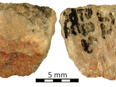 W RPA znaleziono najstarszą truciznę wykorzystywana do polowań