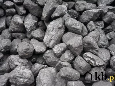 Tego mało kto się spodziewał. Oto aktualne ceny ekogroszku w styczniu 2026