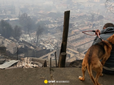 Dramatyczna walka z ogniem w Chile. Pożary lasów zbierają śmiertelne żniwo