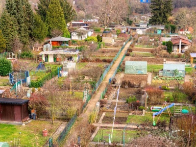 Działki ROD zostaną zlikwidowane? Jest apel do rządu