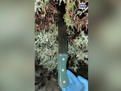 Śląskie. Grozili rówieśnikom maczetą i zwabili do lasu. Brutalny atak nastolatków