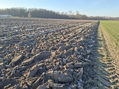Koniec z ustną dzierżawą. Co nowa ustawa zmieni dla rolników?