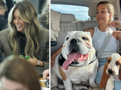 Najpierw schronisko, potem Sejm. Rozenek-Majdan domaga się realnej ochrony zwierząt