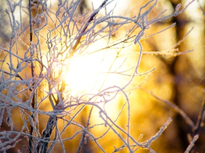 Pogoda na środę | Noc mroźna, ale w dzień słonecznie i trochę powyżej zera