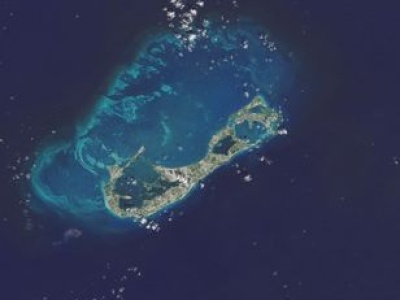 Jedyna taka na świecie. Odkryli ją pod Bermudami