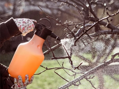 Ten oprysk ratuje drzewa przed chorobami. Jeden błąd i stracisz plony jeszcze przed kwitnieniem