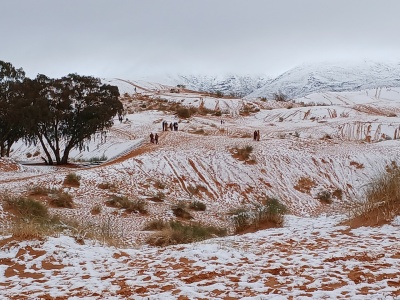 Na Saharze pojawił się śnieg. Niezwykłe zdjęcia obiegły internet