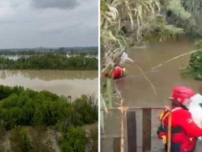 Kataklizm na południu Włoch. Strażacy uratowali dziewięć psów