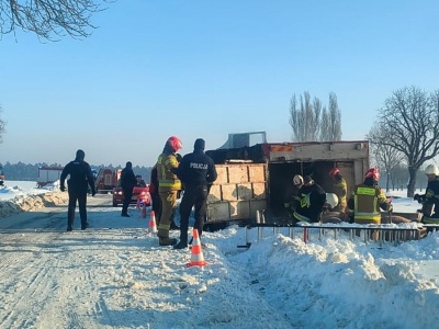 Ciężarówka z trzodą chlewną wpadła do rowu. 12 sztuk padło