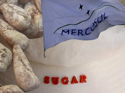 Czy umowa UE-Mercosur zniszczy polski cukier? Plantatorzy alarmują