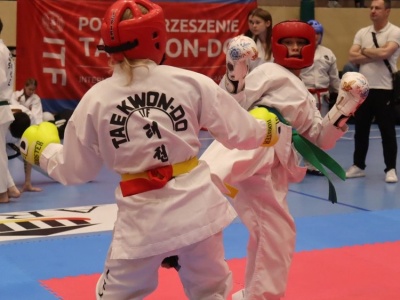 Niedźwiedzie podsumowują miniony rok