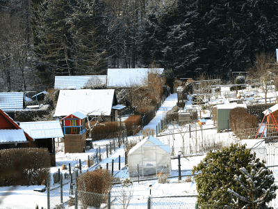 Dramat działkowców. Masowa likwidacja ROD coraz bliżej