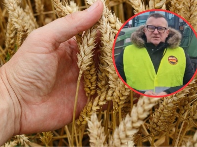 Wroński: rząd sprzedaje rolnikom bajki. Eksport zboża do Chin to fikcja