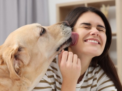 Dlaczego pies liże człowieka? Powód jest zaskakujący