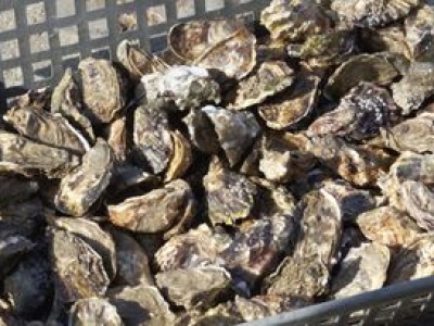 Kiedyś jedli tylko ubodzy. Dziś w restauracjach płacimy za nie krocie