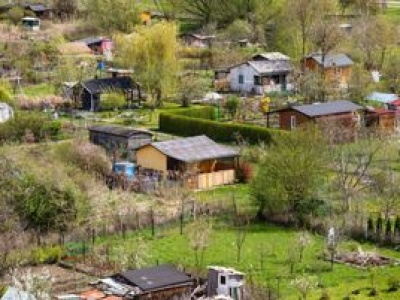 Chcą zlikwidować dwa ROD-y w Warszawie? 