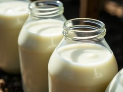 Seniorzy powinni pić takie mleko, a zwykle je omijają w sklepie. Wzmacnia kości i przynosi ulgę jelitom