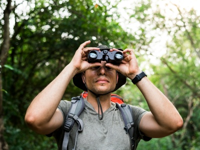 Atlasy i książki przyrodnicze. Naucz się rozpoznawać ptaki, drzewa, chmury i gwiazdy!