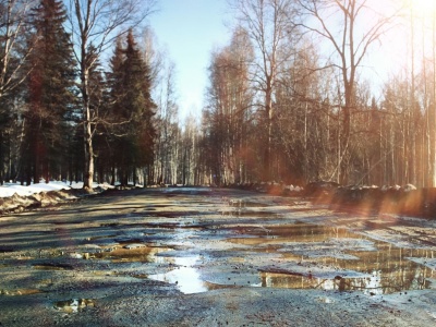 Wiosna przyjdzie szybciej. Nadchodzi wielkie uderzenie ciepła, synoptycy ostrzegają przed anomalią.
