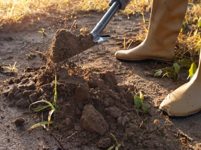 Nie czekaj do wiosny. Gleba przygotowana teraz da plony, jakich się nie spodziewasz