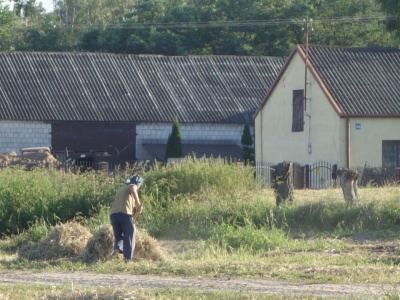 Co z dopłatami i ubezpieczeniem w KRUS? Burza wokół aktywnego rolnika w Sejmie